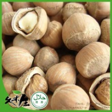 ground hazelnuts - product's photo