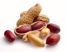 new corp raw peanuts kernel - product's photo