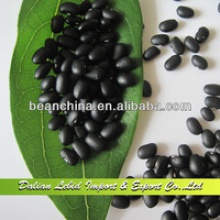 new crop small black kidney beans - product's photo