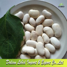  large white kidney beans square type - product's photo