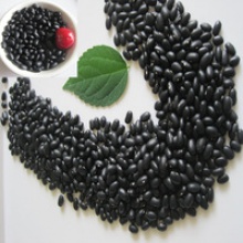  new crop black kidney beans - product's photo