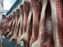 frozen pork carcass skin on - product's photo