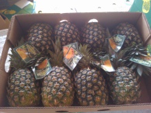 pineapples - product's photo