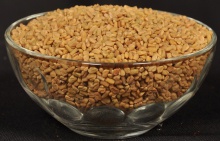 fenugreek seeds indian spices - product's photo