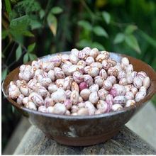 organic dried red speckled sugar beans - product's photo