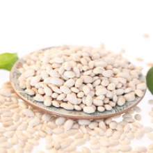 scientific name of beans white kidney beans - product's photo
