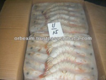 sea caught shrimps - product's photo