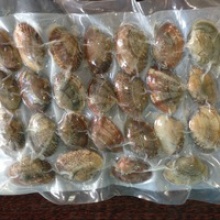 new season frozen vacuum packed cooked short necked clam - product's photo