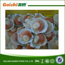 2014 new crop frozen half shell scallops (roe on) - product's photo