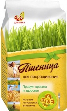 пшеница для проращивания - product's photo