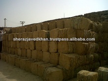 wheat straw bales - product's photo