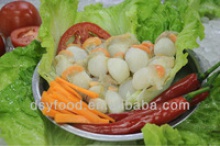frozen high quality scallop meat - product's photo