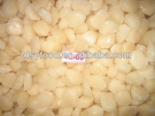 quality frozen sea scallop - product's photo