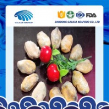 high quality fresh frozen boiled mussels meat with haccp from factory - product's photo