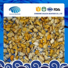 frozen boiled blue mussels meat with better quality - product's photo