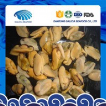 iqf fresh frozen mussel meat with high quality - product's photo