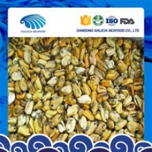 frozen mussel meat with favourable price - product's photo
