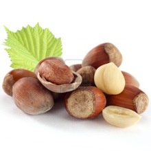 100% organic and natural hazelnuts - product's photo