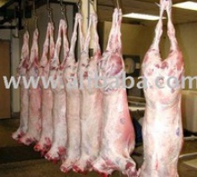halal fresh/frozen sheep/goat/lamb meat/carcass - product's photo