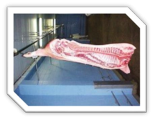 frozen semi-carcass pork grade a - product's photo