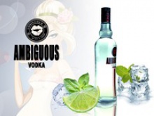 best vodka for chain stores , private label brand vodka - product's photo