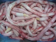 omasum manufacturers, beef offals, beef pizzles - product's photo