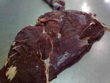 halal frozen boneless donkey meat - product's photo