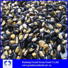 frozen mussels half shell - product's photo