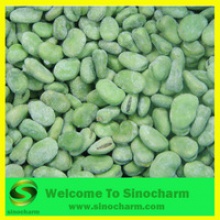 high quality iqf baby broad beans whole - product's photo