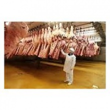 beef carcass - grade a - halal - product's photo