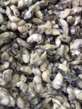 frozen oyster meat size 100-200 - product's photo