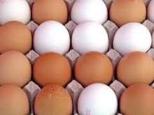 brown and white chicken eggs - product's photo