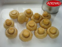chinese high quality canned fresh mushroom whole - product's photo