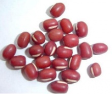 2016 crop small dark red kidney beans price - product's photo