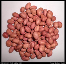 peanut kernels 38/42 - product's photo