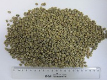 chinese yunnan green coffee beans,screen 13-16 - product's photo