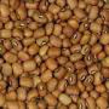 indian cowgram beans - product's photo