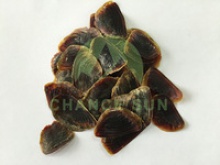 high quality raw sea shell sea oyster shells operculum - product's photo