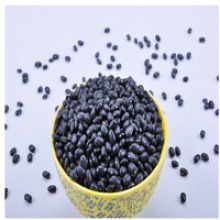 chinese type vanilla bean seeds - product's photo