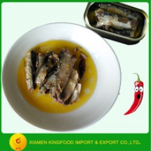 season sardine wholesale canned sardine in hot oil - product's photo