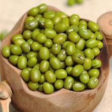 long shape mung bean with cheapest price - product's photo