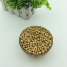 china high protein soybean for sale - product's photo