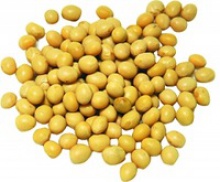 export yellow soybeans product - product's photo