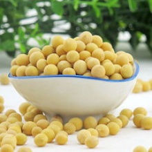 types of edamame bulk dried soybean large type - product's photo