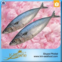 fresh fish frozen mackerel - product's photo