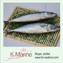 frozen mackerel fresh fish export - product's photo