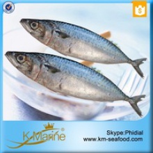 competitive prices land frozen mackerel fish benefits - product's photo
