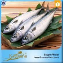 block frozen japanese mackerel fish - product's photo
