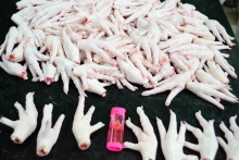 premium grade a chicken paws and feet with approved sif for china - product's photo