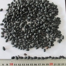 china black black kidney beans dry black beans - product's photo